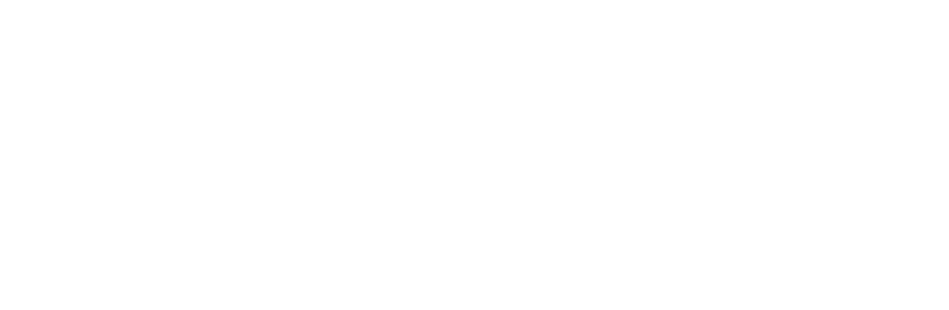 Gunt Consulting